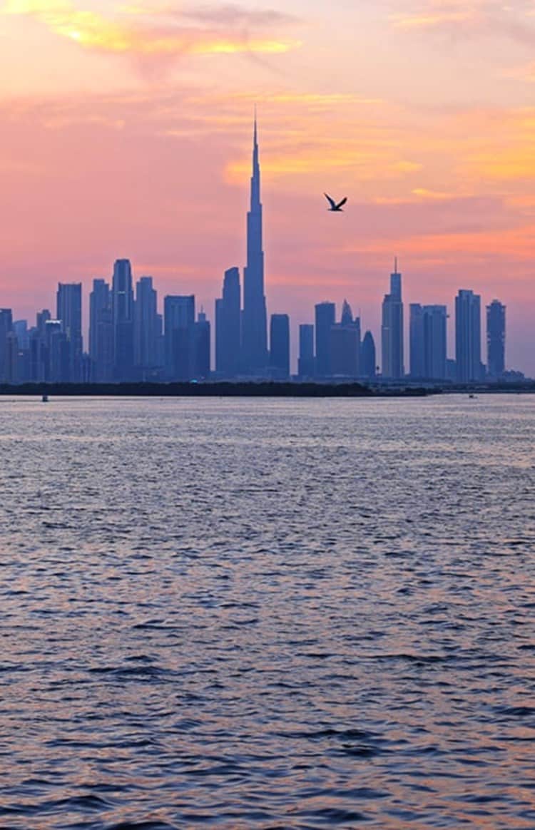 det-header-asia-china-dtcm-1560x690